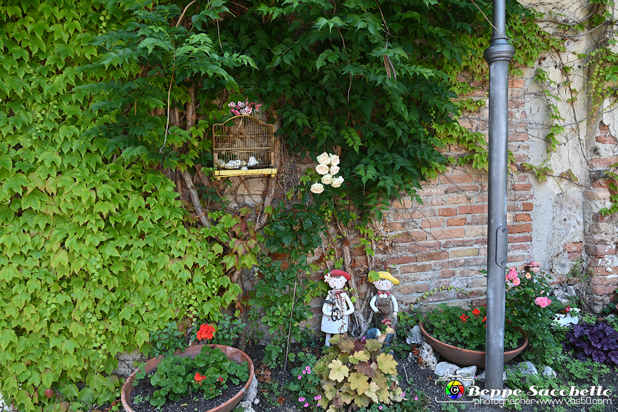 VBS_4448 - Castellinaldo d'Alba.jpg